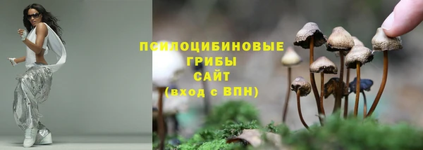 гидра Абдулино