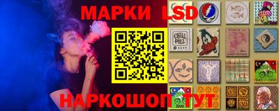 амф Новокубанск